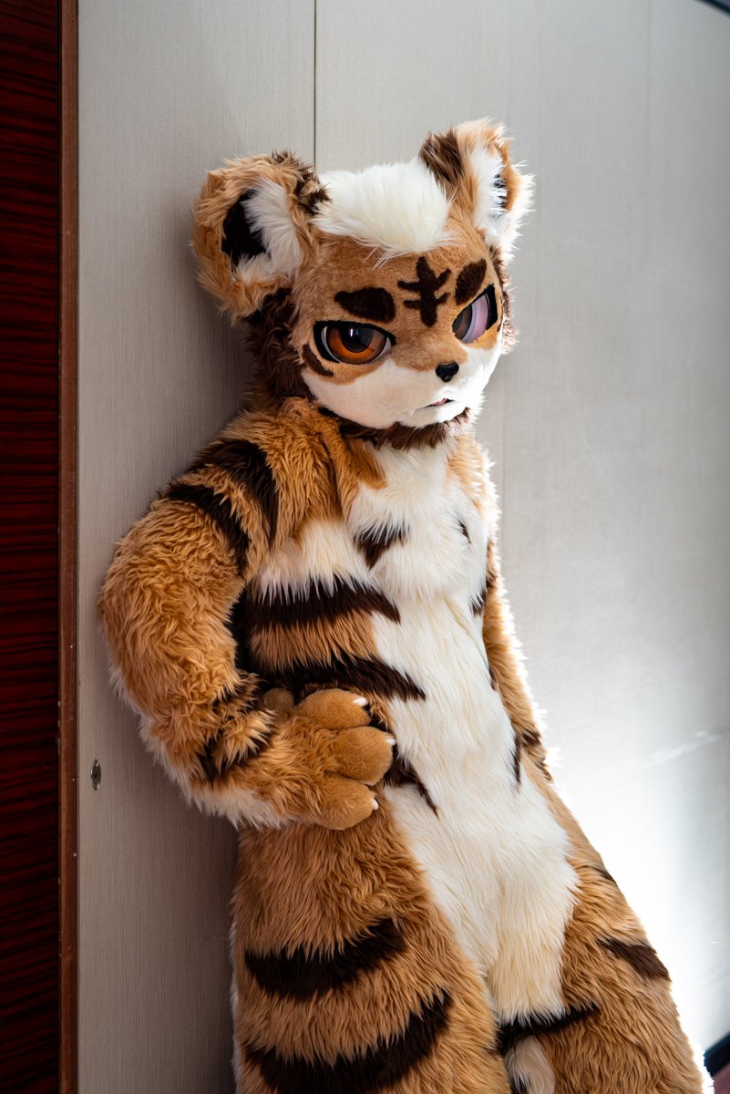 我的HF日程结束了😭要展后PCD了 
#furry #HiFurry