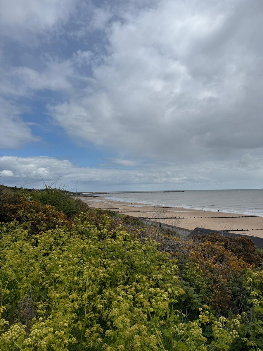 The Engineering Team have been out today on the Clacton to Walton coastline testing comms and coverage in preparation for the <a href="/StHelenaHospice/">St Helena</a> Pier to Pier Walk.  The Icom digital  repeater worked a treat and performed as expected.  essexraynet.co.uk <a href="/RAYNET_UK/">RAYNET_UK</a> <a href="/theRSGB/">RSGB</a>