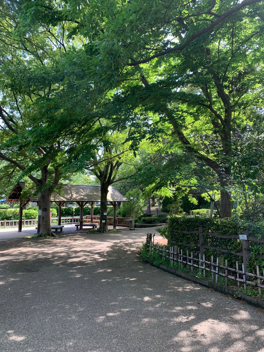 kamioeri_fj's tweet image. 【GW後半】
5/3、辻堂にある長久保公園都市緑化植物園に行ってきました。天候に恵まれた昨日は、子どもたちは水辺で遊び、若葉の隙間から降り注ぐ木漏れ日の下、読書を楽しむ方、スケッチされる方等思い思いに時間を過ごされている様子。爽やかな風を感じ、私も今季一年、新たな気持ちで頑張ります。