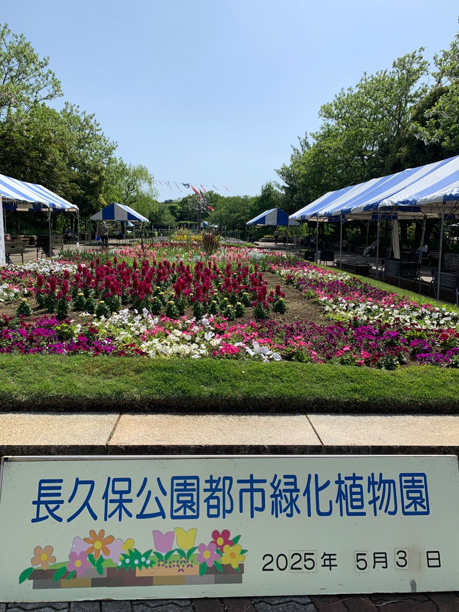kamioeri_fj's tweet image. 【GW後半】
5/3、辻堂にある長久保公園都市緑化植物園に行ってきました。天候に恵まれた昨日は、子どもたちは水辺で遊び、若葉の隙間から降り注ぐ木漏れ日の下、読書を楽しむ方、スケッチされる方等思い思いに時間を過ごされている様子。爽やかな風を感じ、私も今季一年、新たな気持ちで頑張ります。