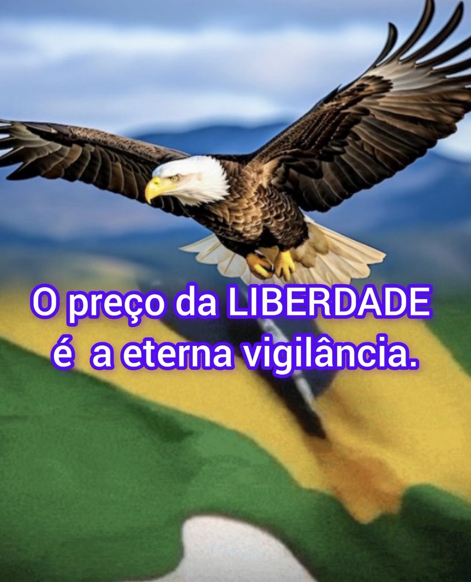 lucilhamendesv's tweet image. 