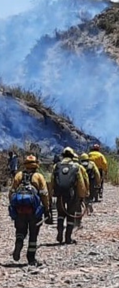 ArielFe07209357's tweet photo. 🔥🔥🔥🔥
4 de Mayo, día internacional del Combatiente de Incendios Forestales.
Mendoza, a través del Plan Provincial de Manejo del Fuego, cuenta con personal altamente capacitado y comprometido para está tarea. Felicidades en su día, y gracias por su esfuerzo !!!
#PPMF
#Ambiente
