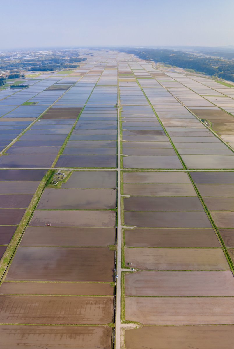 一面の美しい水田を空から撮影。聞くと今年はお米を多く作るらしい。日本の腹を空かせたくないって笑ってた