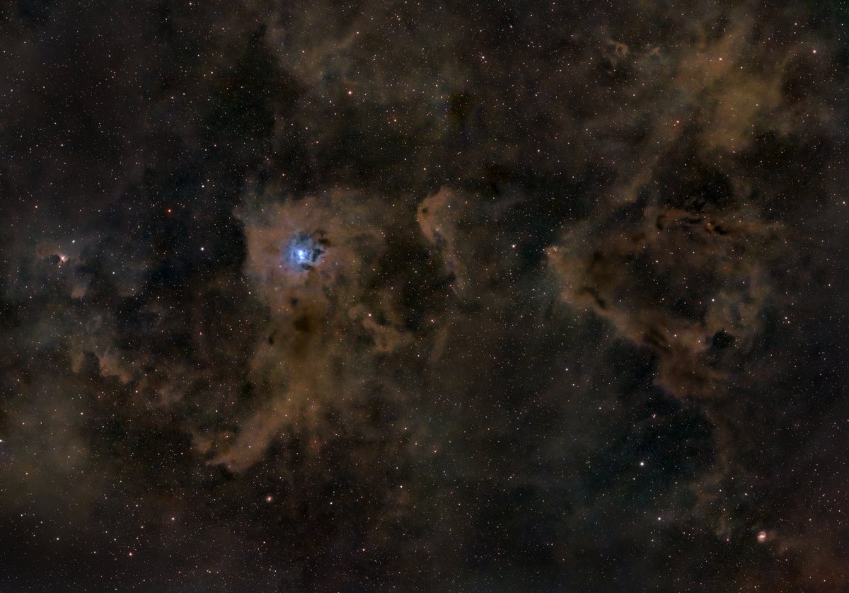 DerekFoster's tweet image. Widefield LRGB image of Iris Nebula using Redcat 51 scope. Take from Sheffield, UK.