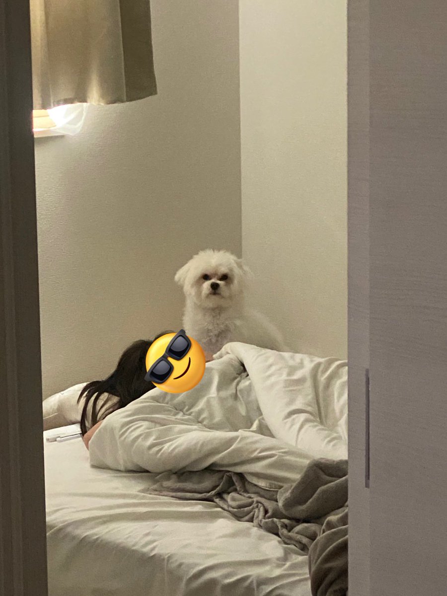 私が朝寝てる時、ずっとそばに居たらしい笑