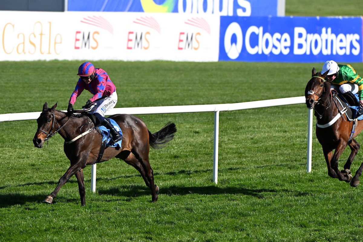Aubrey Mc Mahon (@aubreymcmahon97) on Twitter photo 🥇Hey Sunshine🥇lands the €100,000 Listed Handicap Hurdle <a href="/punchestownrace/">Punchestown</a> under jockey Paul Townend & trainer <a href="/WillieMullinsNH/">Willie Mullins</a>.
Capping off a fantastic 2024/25 season for Temple Bloodstock syndicates & purchases through the year for private clients.
📸Healy Racing. 🥇Hey Sunshine🥇lands the €100,000 Listed Handicap Hurdle <a href="/punchestownrace/">Punchestown</a> under jockey Paul Townend & trainer <a href="/WillieMullinsNH/">Willie Mullins</a>.
Capping off a fantastic 2024/25 season for Temple Bloodstock syndicates & purchases through the year for private clients.
📸Healy Racing.