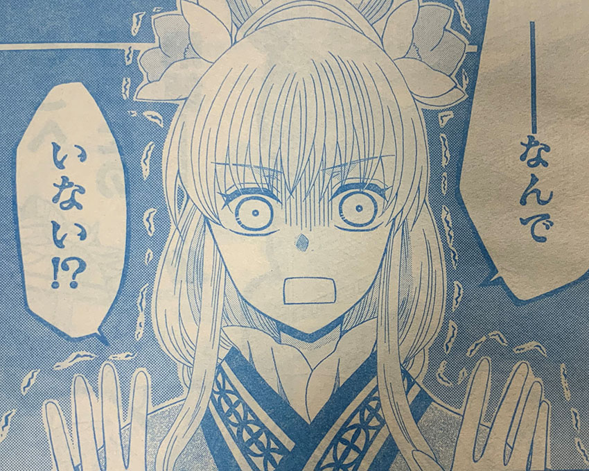 雑誌の写真しかサンプルが手元にないのですが中身はこんな感じ。 