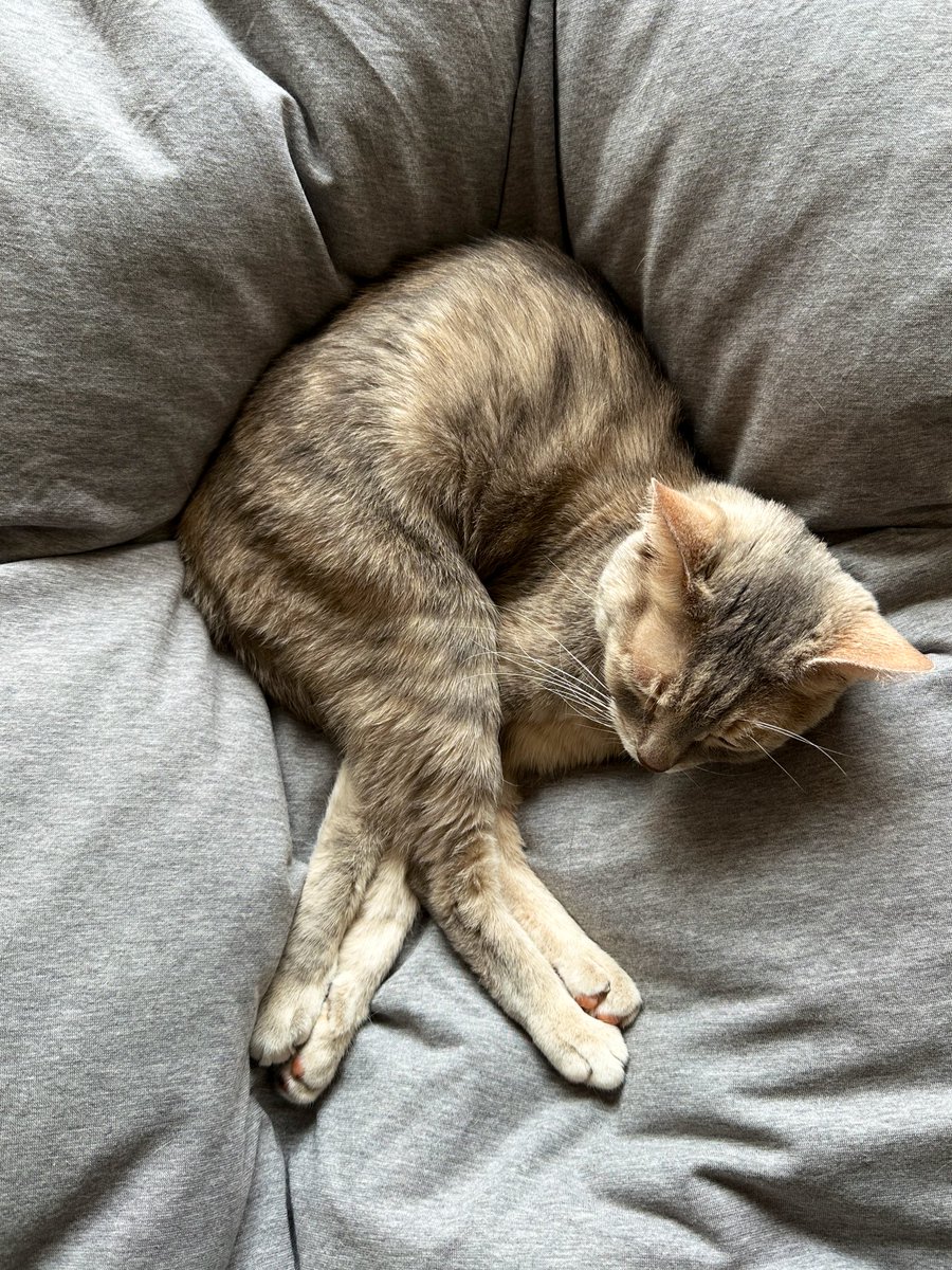 モアクリ tweet media