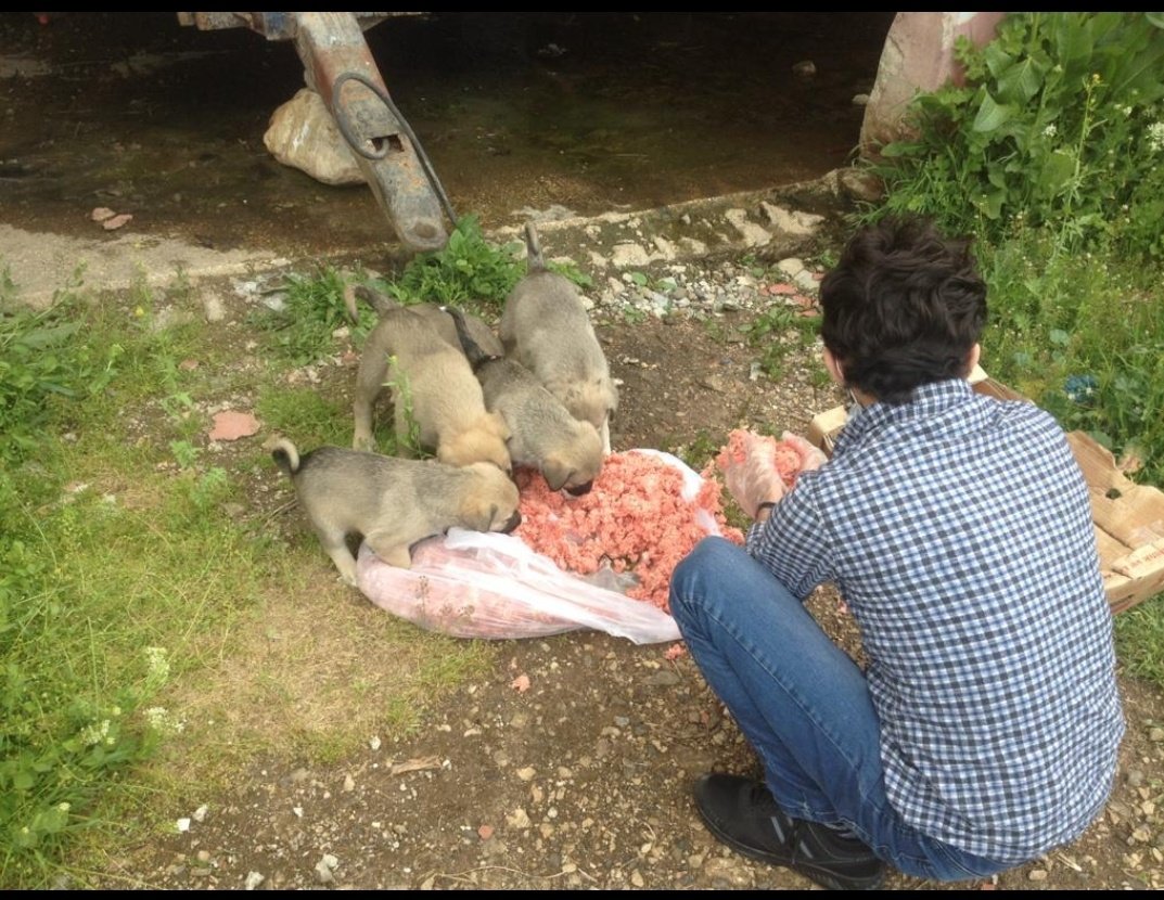 AzraDemir25 (@kuhli55) on Twitter photo Ya siz insan mısınız? Domuz ulan o domuz.İt gibi ona da tapınacaksınız. Onu da mı sokaklarda besleyeceksiniz.Soruşturma talep ediyormuş bak hele. Hayvanların yaşam hakkı diyerek yalan söyleyen bu iki ayaklılar itlerini KUZU ETLİ yalla besliyor aloo <a href="/AYMBASKANLIGI/">Anayasa Mahkemesi</a> <a href="/AntalyaValilik/">T.C. Antalya Valiliği</a> Ya siz insan mısınız? Domuz ulan o domuz.İt gibi ona da tapınacaksınız. Onu da mı sokaklarda besleyeceksiniz.Soruşturma talep ediyormuş bak hele. Hayvanların yaşam hakkı diyerek yalan söyleyen bu iki ayaklılar itlerini KUZU ETLİ yalla besliyor aloo <a href="/AYMBASKANLIGI/">Anayasa Mahkemesi</a> <a href="/AntalyaValilik/">T.C. Antalya Valiliği</a>