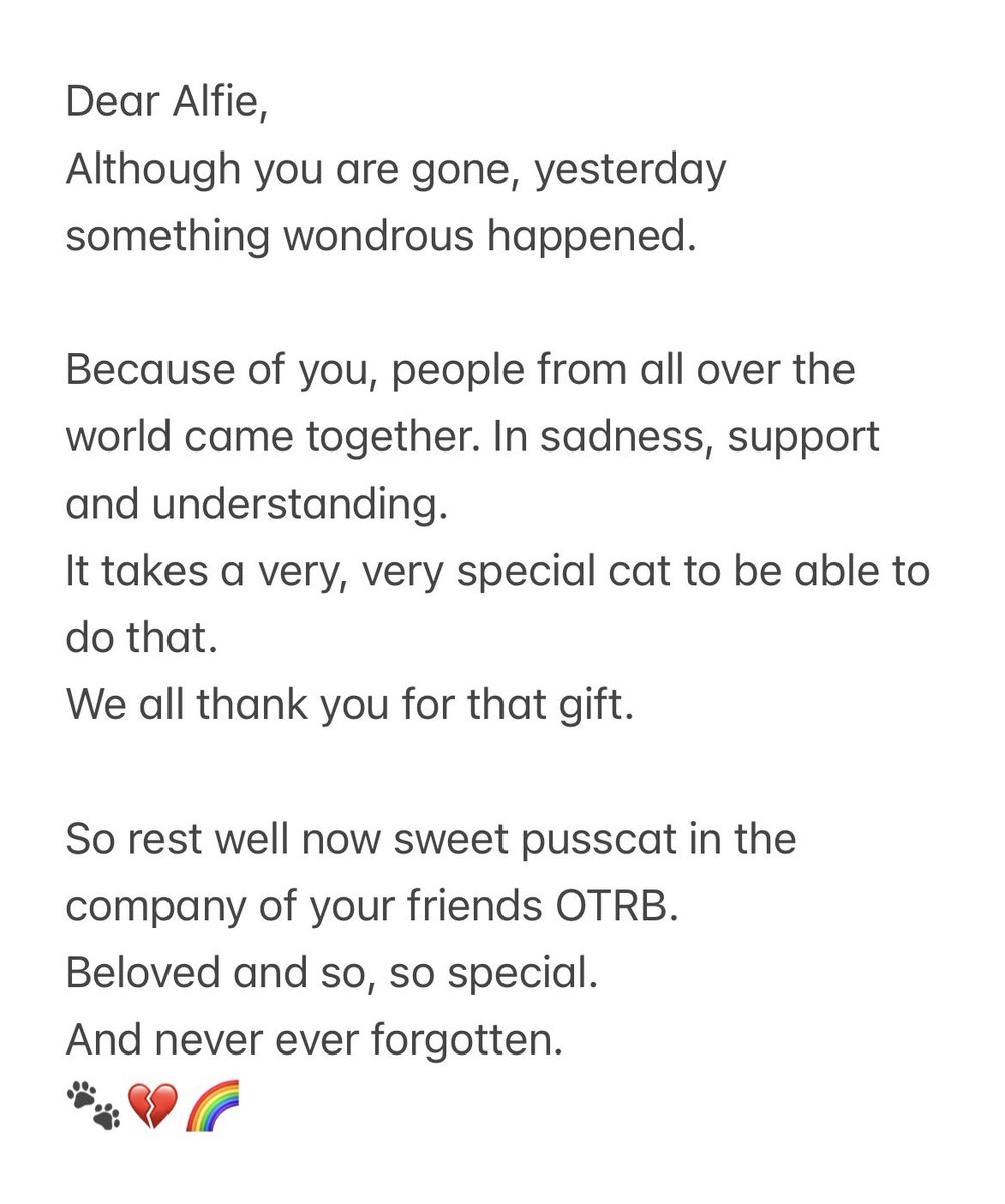 Jessie Cat & Scruffy Jack๐โค๏ธ (@scruffy_jack) on Twitter photo In memory of Alfie
A very, very special cat ๐พโค๏ธ๐
<a href="/PoppyAndMolly2/">Alfie ๐ and Poppy ๐</a>
#CandleForAlfie In memory of Alfie
A very, very special cat ๐พโค๏ธ๐
<a href="/PoppyAndMolly2/">Alfie ๐ and Poppy ๐</a>
#CandleForAlfie