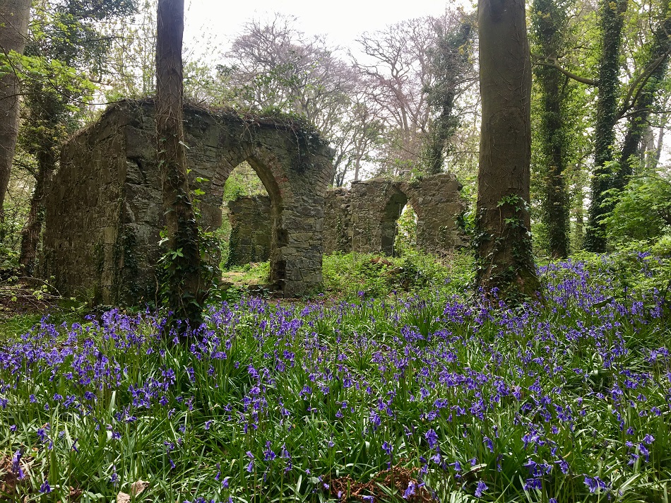 NTmountstewart's tweet photo. Bank holiday Bluebell walks ๐ชป
Hit the trails this glorious bank holiday weekend and don't miss the beautiful Bluebell show!
#DiscoverNI #tourismni #BelfastPlus #bluebellseason #bluebell #bluebellwood https://t.co/DKUVb9Qyuy