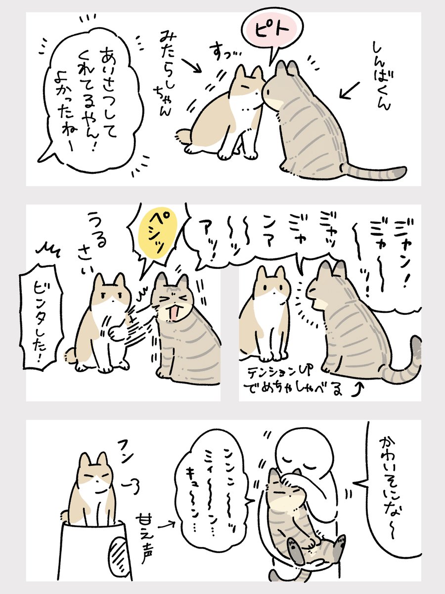 [8/10] 女子には強く出れない 
