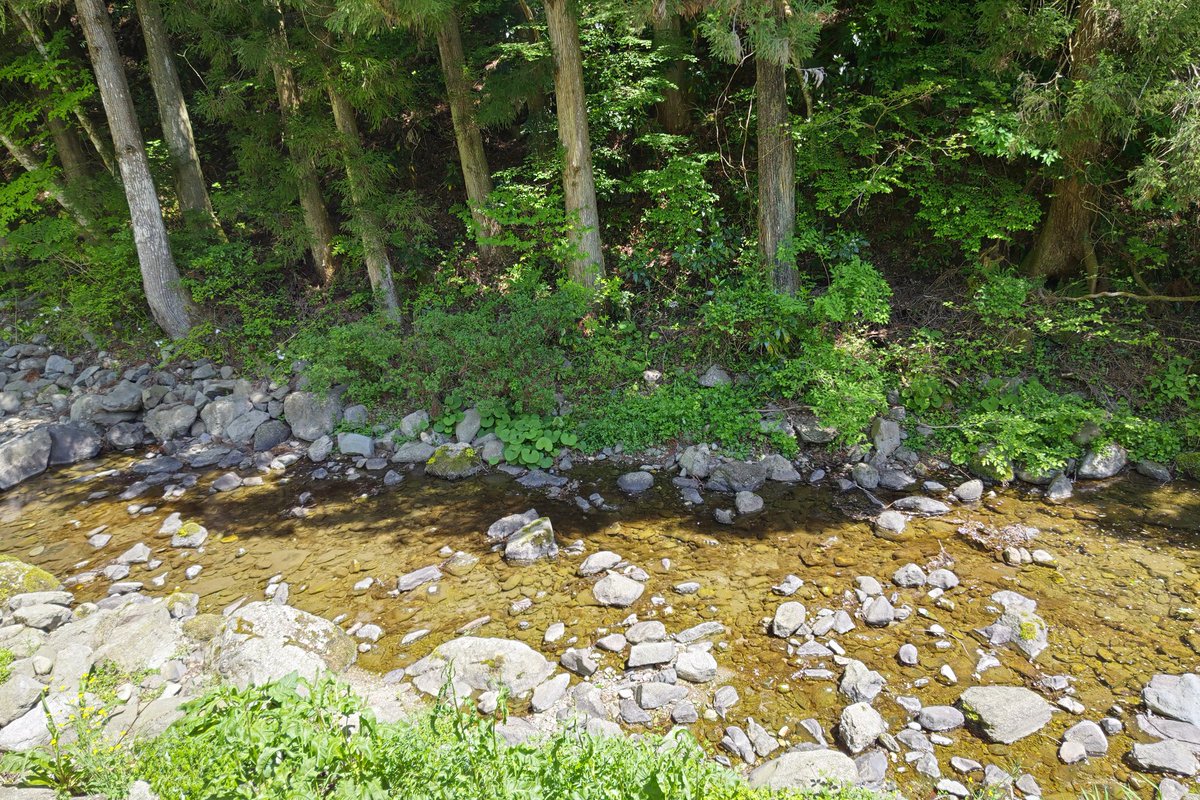 シャルル・ボイル（シャル） tweet media