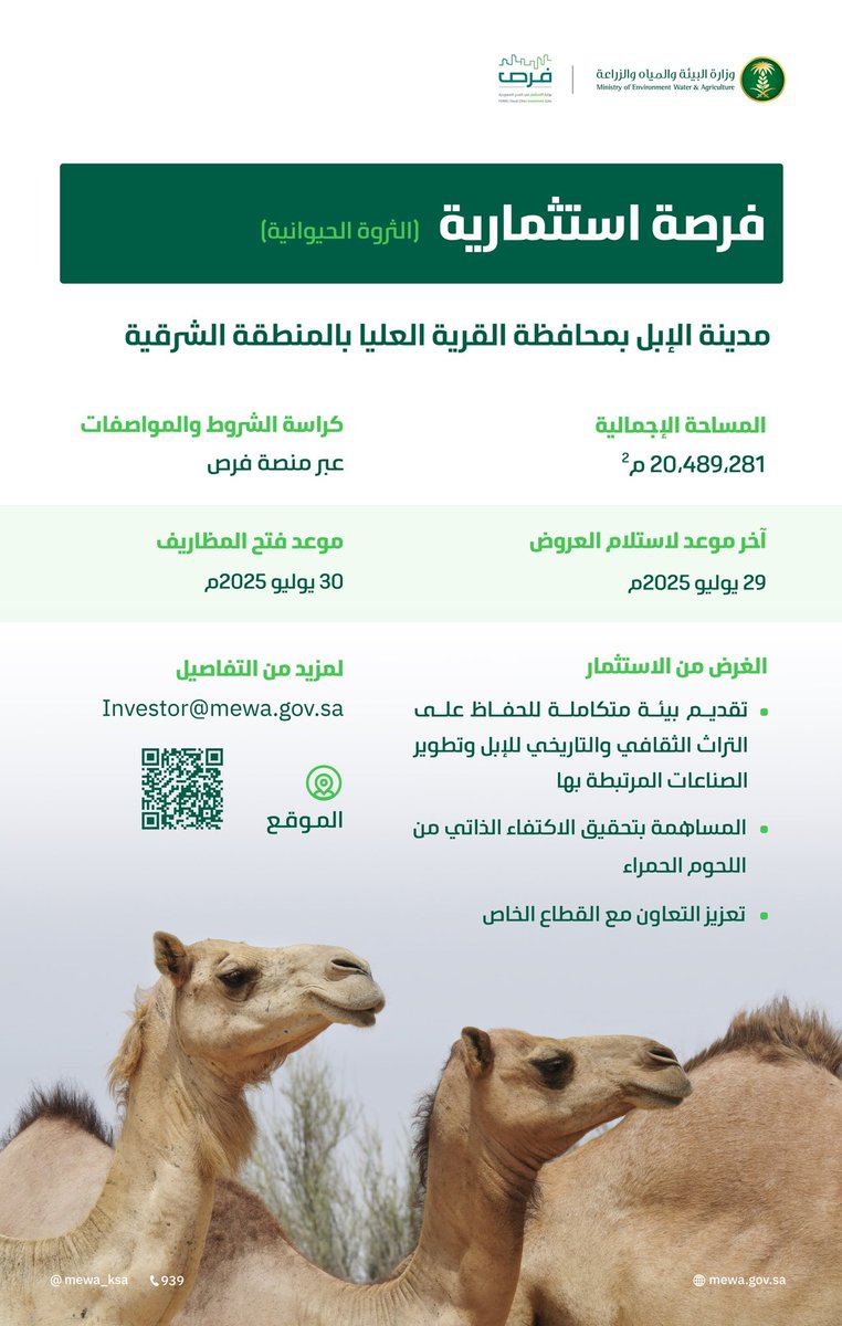 تعلن الوزارة عن طرح فرصة استثمارية لإنشاء مدينة الإبل، بمحافظة القرية العليا في المنطقة الشرقية، بهدف تقديم بيئة متكاملة للحفاظ على التراث الثقافي والتاريخي للإبل، وتطوير الصناعات المرتبطة بها.

للمزيد:
furas.momah.gov.sa/ar/opportunity…