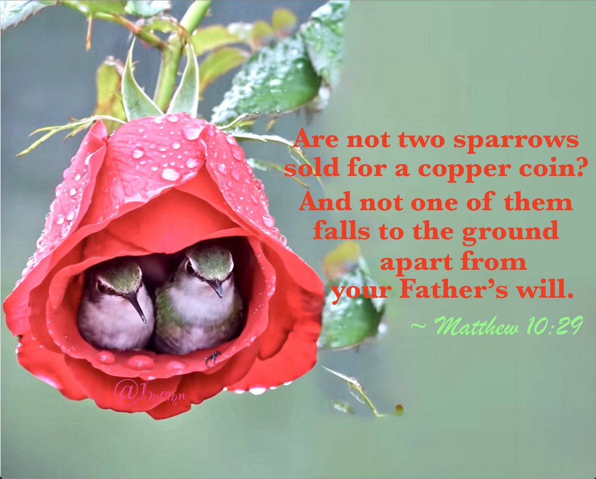 🔸Min McC🔸 (@1mcmn) on Twitter photo ✝️💟#PrayersforAll #JCPE #TY4Follow
💗🌻Pls RP & Follow Ev1🙏🌹
<a href="/TheyCallMeDoc1/">TheyCallMeDoc</a> <a href="/drag0nmaster17/">Danny</a>
<a href="/CaptainLivesOn/">Captain America Reborn</a>
<a href="/oldsoldier8104/">Marty Piercy</a> <a href="/JcMischelle/">Mischelle, 🇮🇱 I STAND WITH ISRAEL 🇮🇱</a> <a href="/Sam34_18/">Sam1027</a>
<a href="/kashunco/">Pat Patriot</a>
<a href="/MHM7262/">Michael also known as Wolfie😉</a> <a href="/MichaelRiz10268/">Michael A. Rizzo</a> <a href="/TOMCATCO71/">TOMCATCO</a>
<a href="/KennethNic45099/">Kenneth Nicholson</a>
<a href="/LocalNatlnews/">Jivebunny 🇺🇸🚜✝️🇺🇸🦅</a> <a href="/Kelly13324H/">Rusty Nail 🇺🇸</a> <a href="/LocalNatlnews/">Jivebunny 🇺🇸🚜✝️🇺🇸🦅</a>
<a href="/Robertchef77/">Robert</a> ✝️💟#PrayersforAll #JCPE #TY4Follow
💗🌻Pls RP & Follow Ev1🙏🌹
<a href="/TheyCallMeDoc1/">TheyCallMeDoc</a> <a href="/drag0nmaster17/">Danny</a>
<a href="/CaptainLivesOn/">Captain America Reborn</a>
<a href="/oldsoldier8104/">Marty Piercy</a> <a href="/JcMischelle/">Mischelle, 🇮🇱 I STAND WITH ISRAEL 🇮🇱</a> <a href="/Sam34_18/">Sam1027</a>
<a href="/kashunco/">Pat Patriot</a>
<a href="/MHM7262/">Michael also known as Wolfie😉</a> <a href="/MichaelRiz10268/">Michael A. Rizzo</a> <a href="/TOMCATCO71/">TOMCATCO</a>
<a href="/KennethNic45099/">Kenneth Nicholson</a>
<a href="/LocalNatlnews/">Jivebunny 🇺🇸🚜✝️🇺🇸🦅</a> <a href="/Kelly13324H/">Rusty Nail 🇺🇸</a> <a href="/LocalNatlnews/">Jivebunny 🇺🇸🚜✝️🇺🇸🦅</a>
<a href="/Robertchef77/">Robert</a>