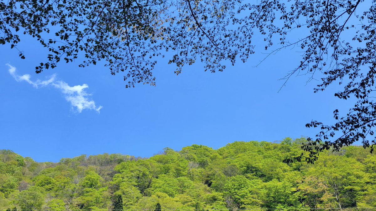 hoshi_onsen's tweet photo. 新緑
〜そうだ、旅に出よう〜

気持ちの良い季節ですね。

道中はどうぞ安全運転でお越しくださいませ。 https://t.co/V5fowImdQJ