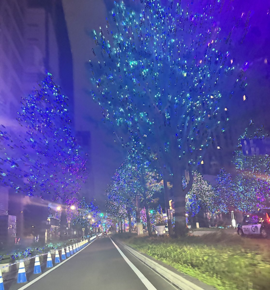 exy_sora_'s tweet photo. 今御堂筋きれいなの知ってたじろー？  #女風 https://t.co/oHFk69y1bt