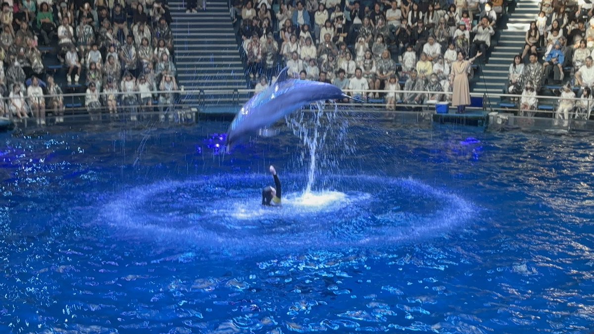 水族館綺麗すぎて感動だぁああ
イルカショー楽しかった🐬🐬🐬