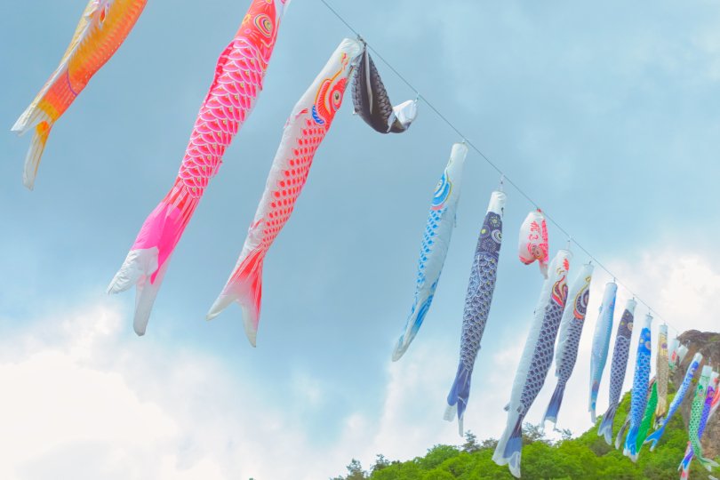 薄雲の谷を立夏の風渡る
#kigo #俳句 #写真俳句