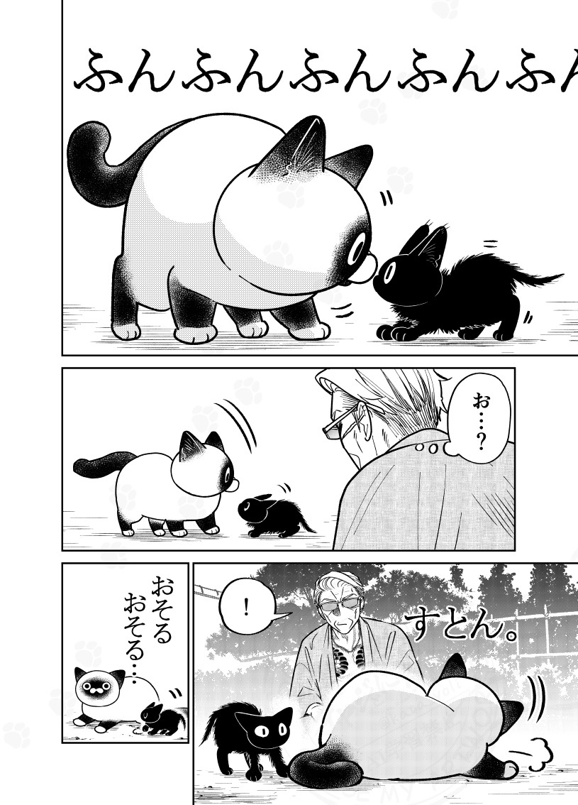 (2/4) 