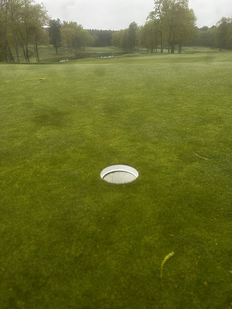 Clean living on this Sunday morning