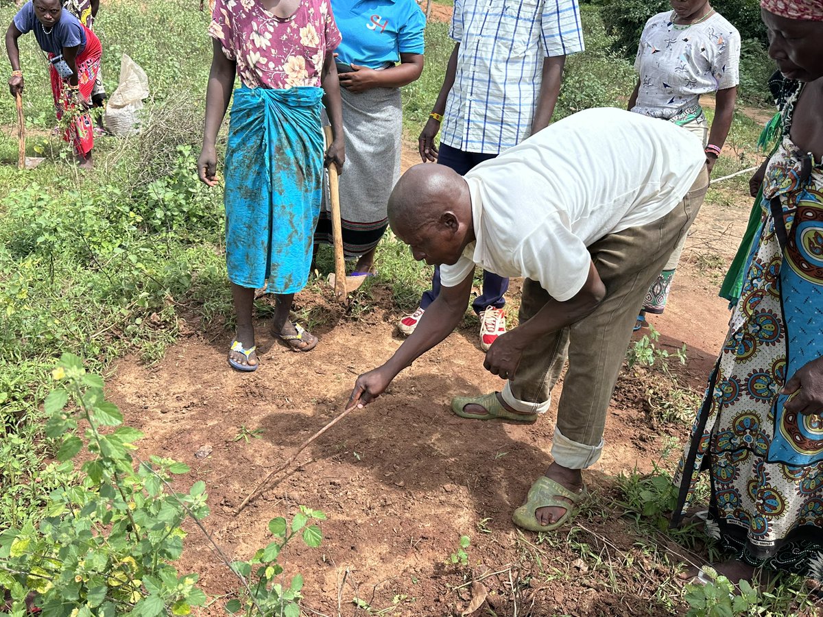 KCCGP_'s tweet photo. Using TOTs to Elevate community engagement while making a positive impact on the environment with our fruits tree planting under #CosmoProject @PlanKenya .@PlanGlobal https://t.co/IXxVcvTw4M