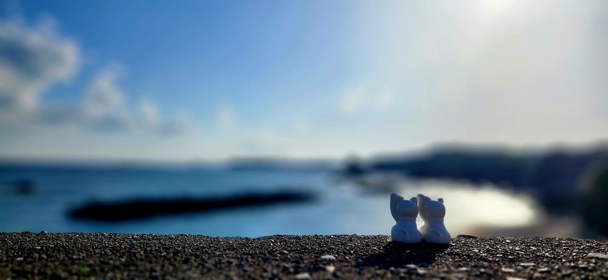 NovyyCat's tweet image. エモモモモ