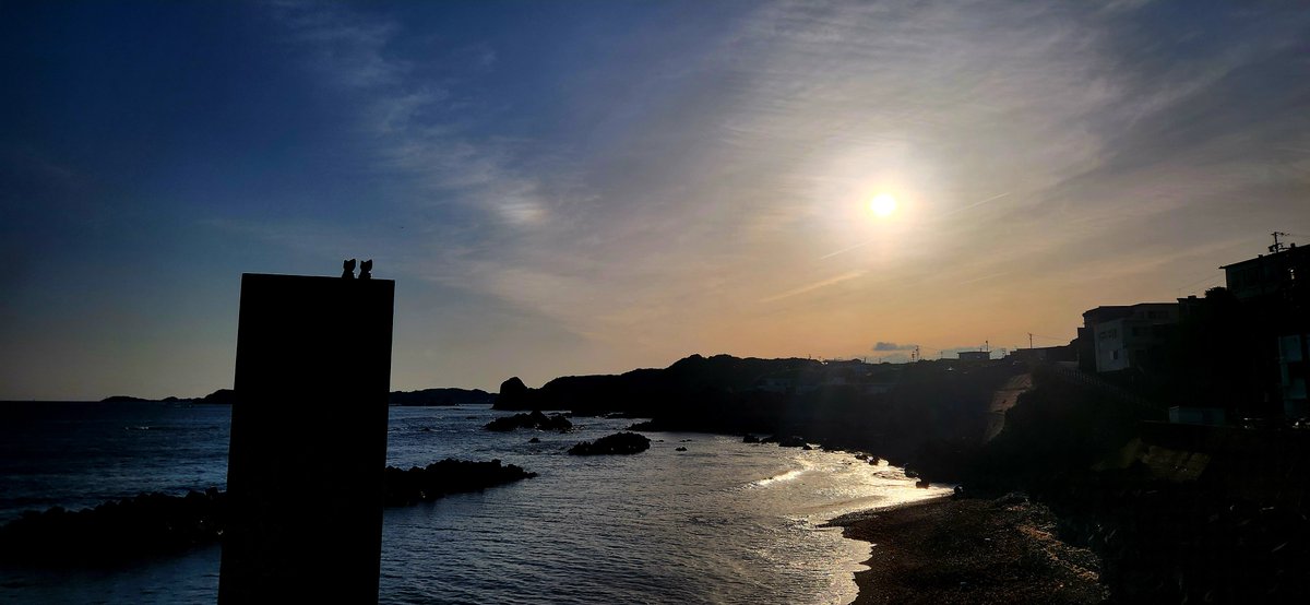 NovyyCat's tweet image. エモモモモ