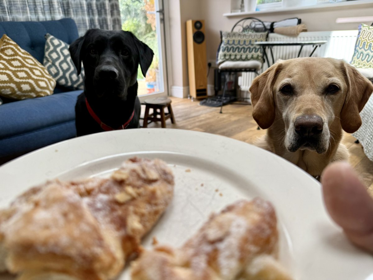 Happy Sunday - I have a couple of
Friends! ❤️🐶