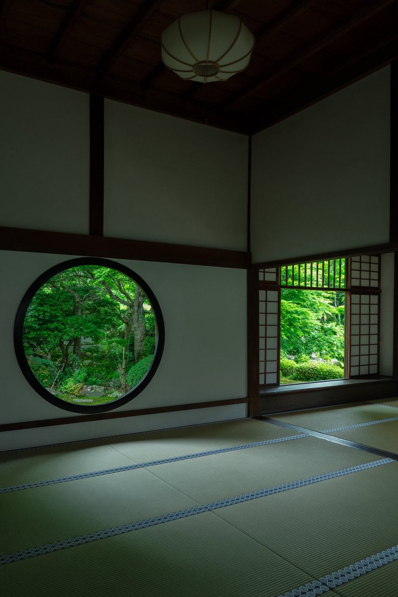 美しい緑に心が洗われる