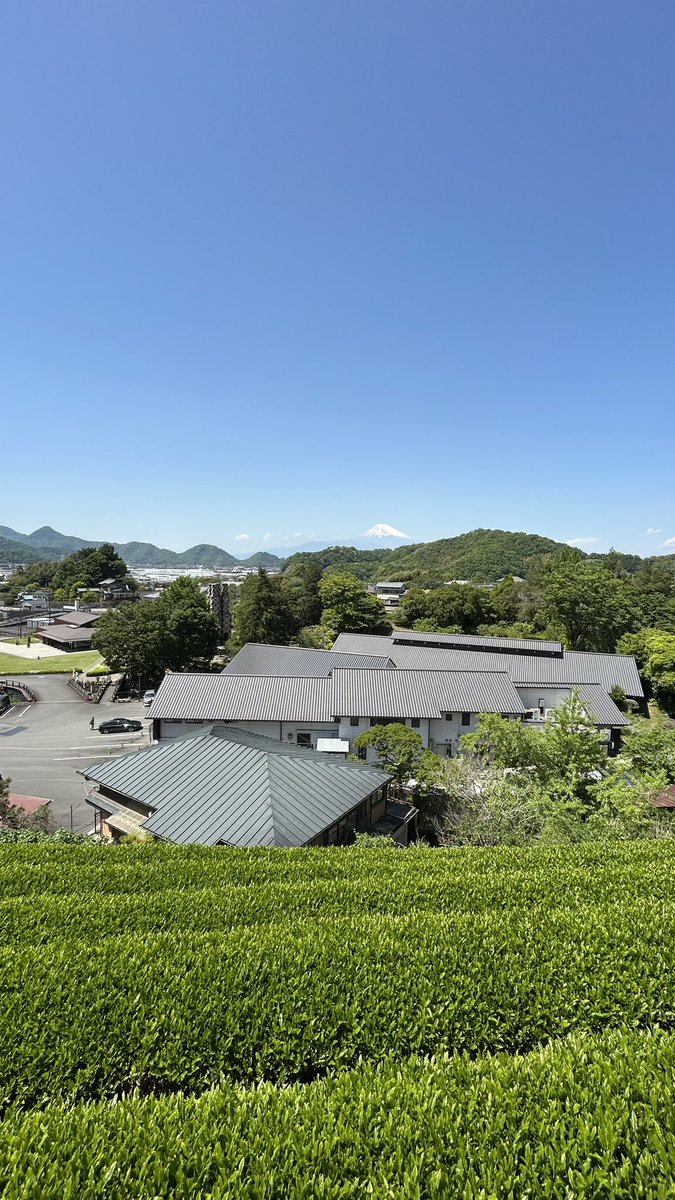 ss_aeaea's tweet photo. 茶畑と新茶ソフトクリーム https://t.co/gRQ9NyMzUh