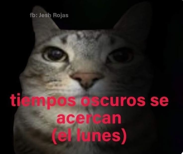 Memakker's tweet image. 