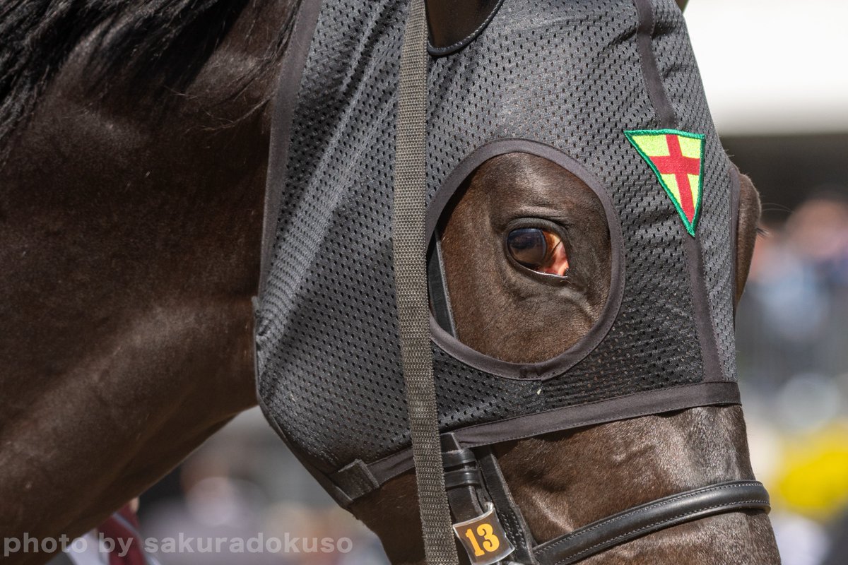 sakuradokuso's tweet image. #ジャスティンパレス