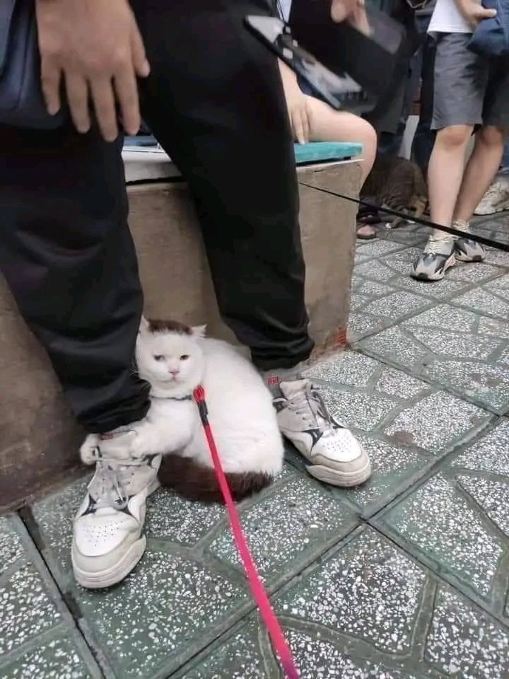 "Im not clingy"
Also me: