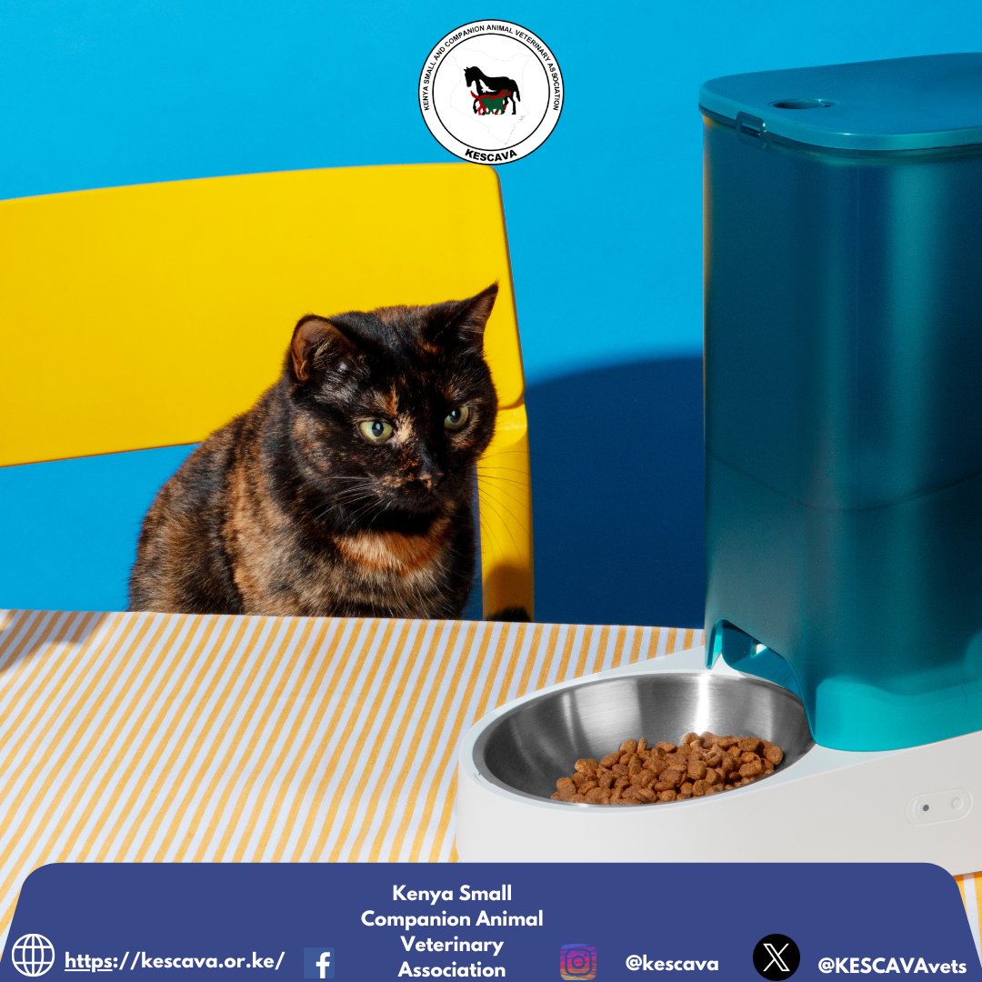 🐾 Tuesday Tip 🐾

Does your pet gobble down food too fast? 🐶🐱 Try using a slow-feeder bowl or a food puzzle! 🧩🍽️

It turns mealtime into a fun challenge and helps prevent issues like bloating and digestive discomfort. 💨❤️

#TuesdayTip #PetNutrition