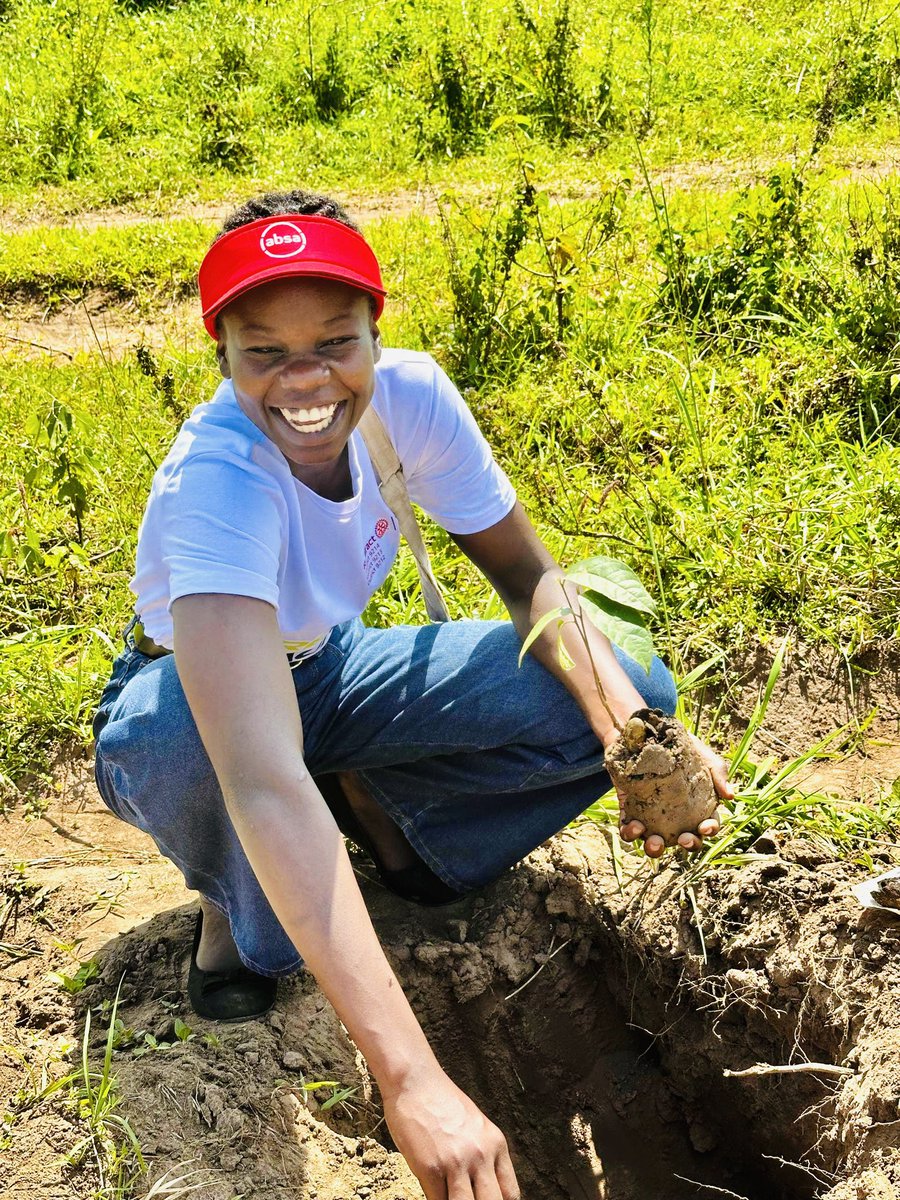 HopeRct's tweet photo. Rooted in service,growing for the future! #rotaracthopekansanga joined the Rotaract Earth Initiative #REI to grow a greener community at Bukedea. #treehuggersunite #greenenvironment #rotaract https://t.co/OaZU2rObVn