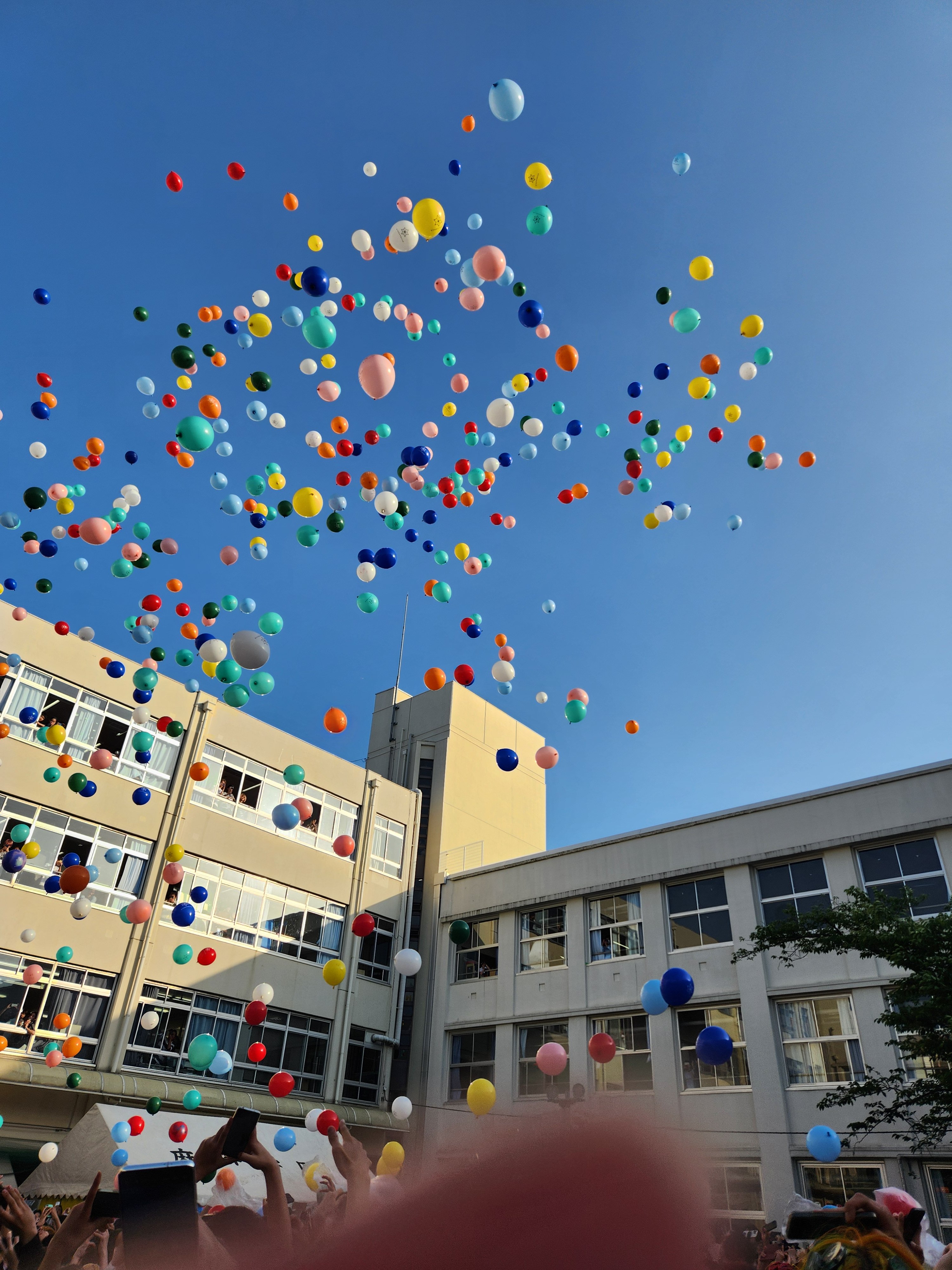 麻布学園文化祭 / 5.2~5.4 (@Azabufes) / X