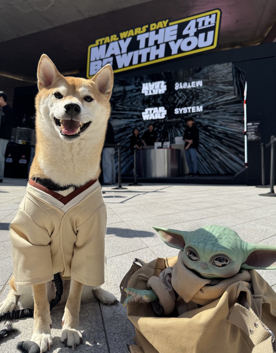 #MayThe4thBeWithYou 
🐕🐾🐾