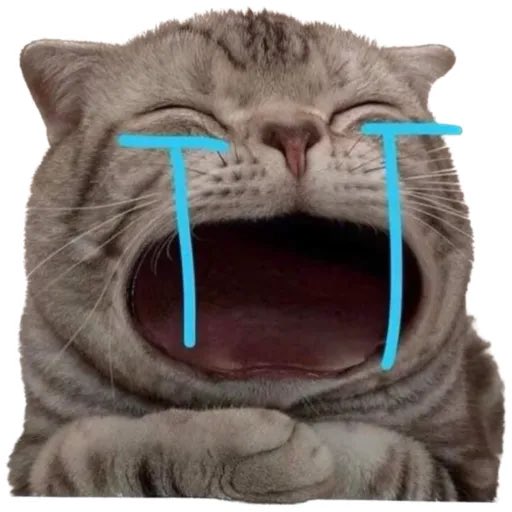 취안저우야…….