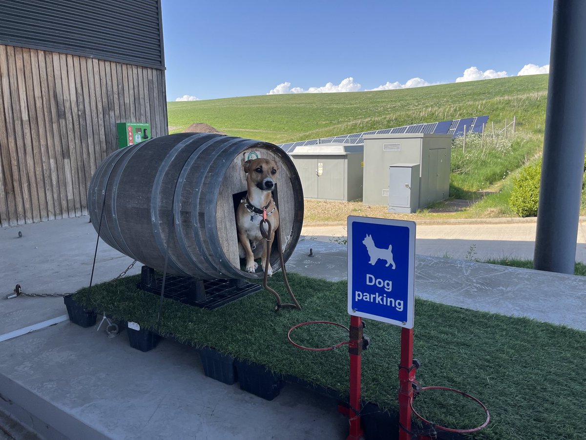Mark Driver (@sussexwineprod) on Twitter photo We even have a parking space for your dog whilst visiting the Cellar Door <a href="/RathfinnyEstate/">Rathfinny Estate</a> .. or drop into the Tasting Room or Hut for a bit to eat and a glass or two of Sussex Sparkling 🥂🍾 We even have a parking space for your dog whilst visiting the Cellar Door <a href="/RathfinnyEstate/">Rathfinny Estate</a> .. or drop into the Tasting Room or Hut for a bit to eat and a glass or two of Sussex Sparkling 🥂🍾