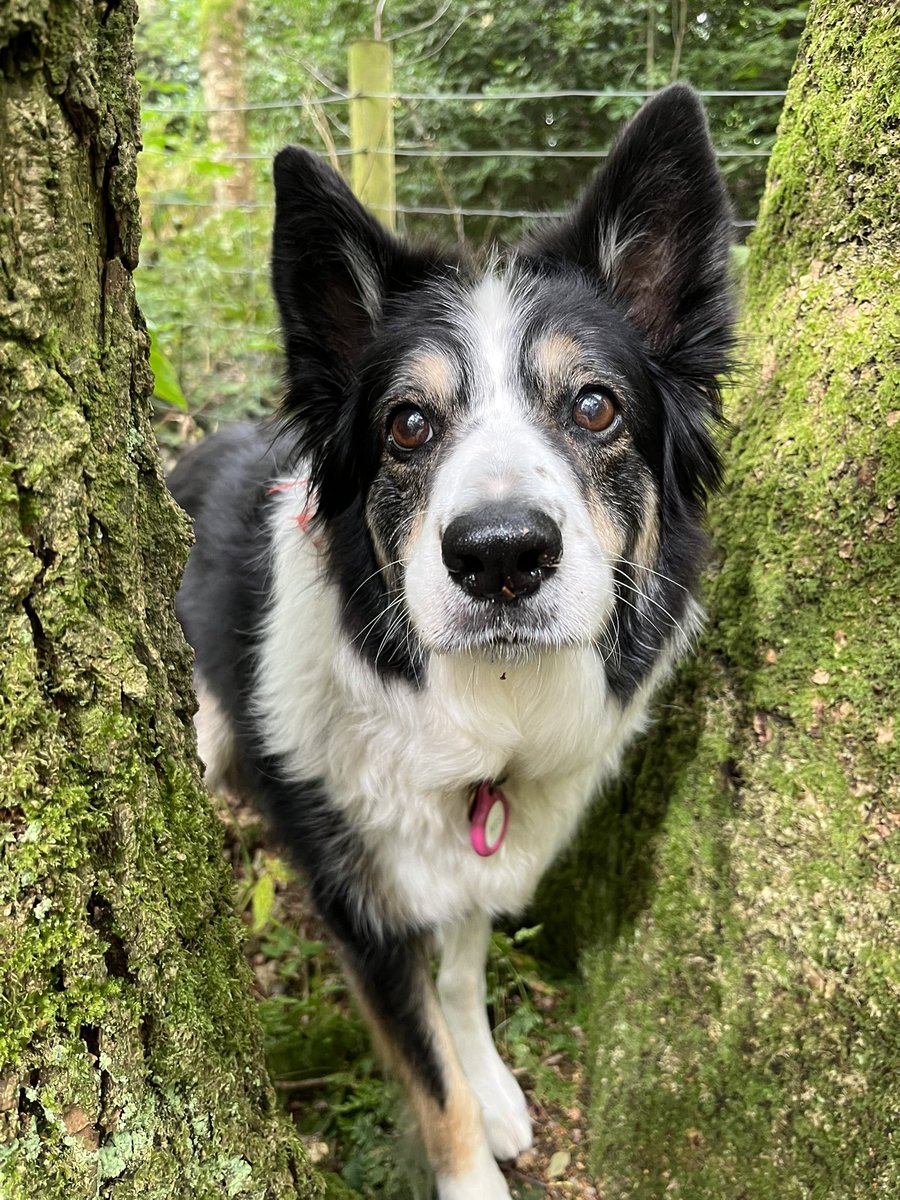 ☠️ Matt 👾 tweet media