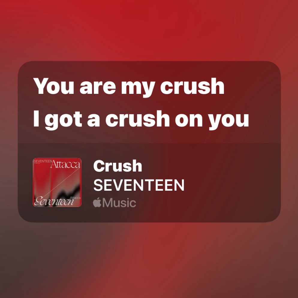what seventeen said