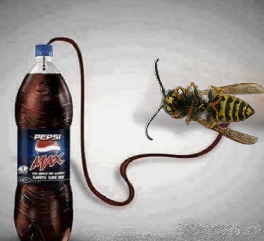 We're doing this to Wasp 9 tomorrow...