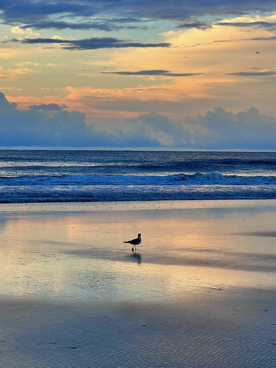Sunday peace #grateful