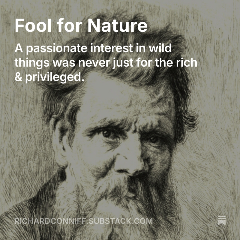 Working people often care as passionately as the educated and otherwise privileged about the natural world: Fool for Nature open.substack.com/pub/richardcon…