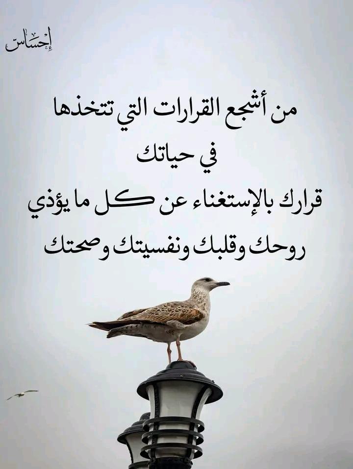 خالد الصالح (@kldll158633) on Twitter photo 