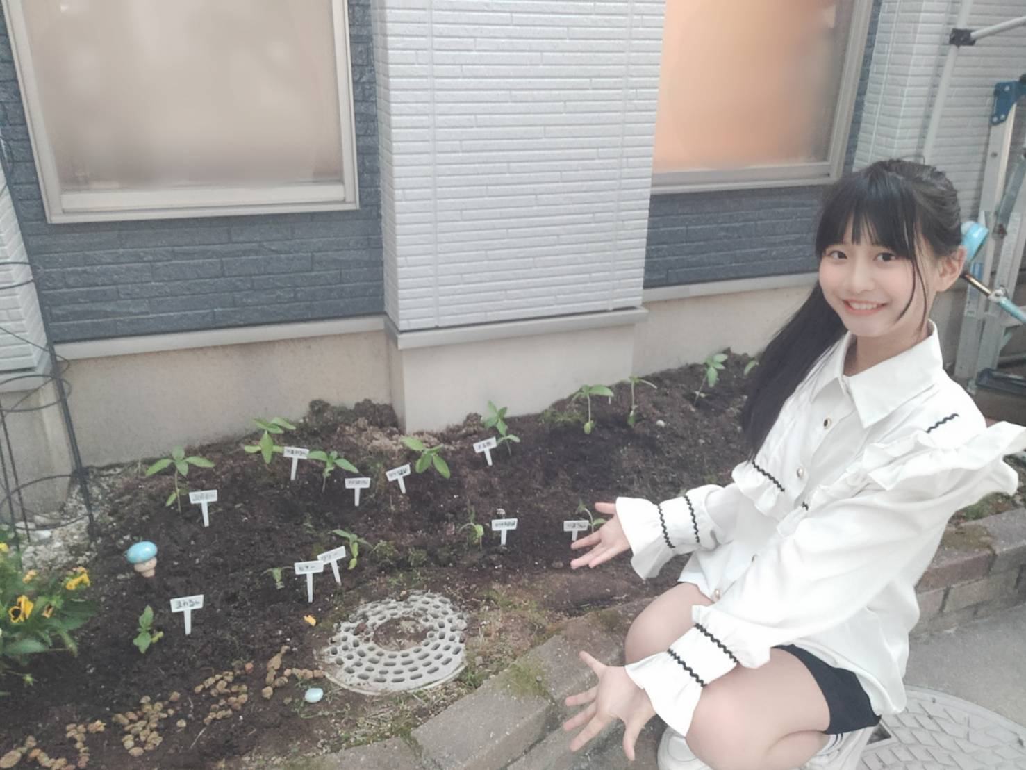 花春 (@DP_KAHARU) / X