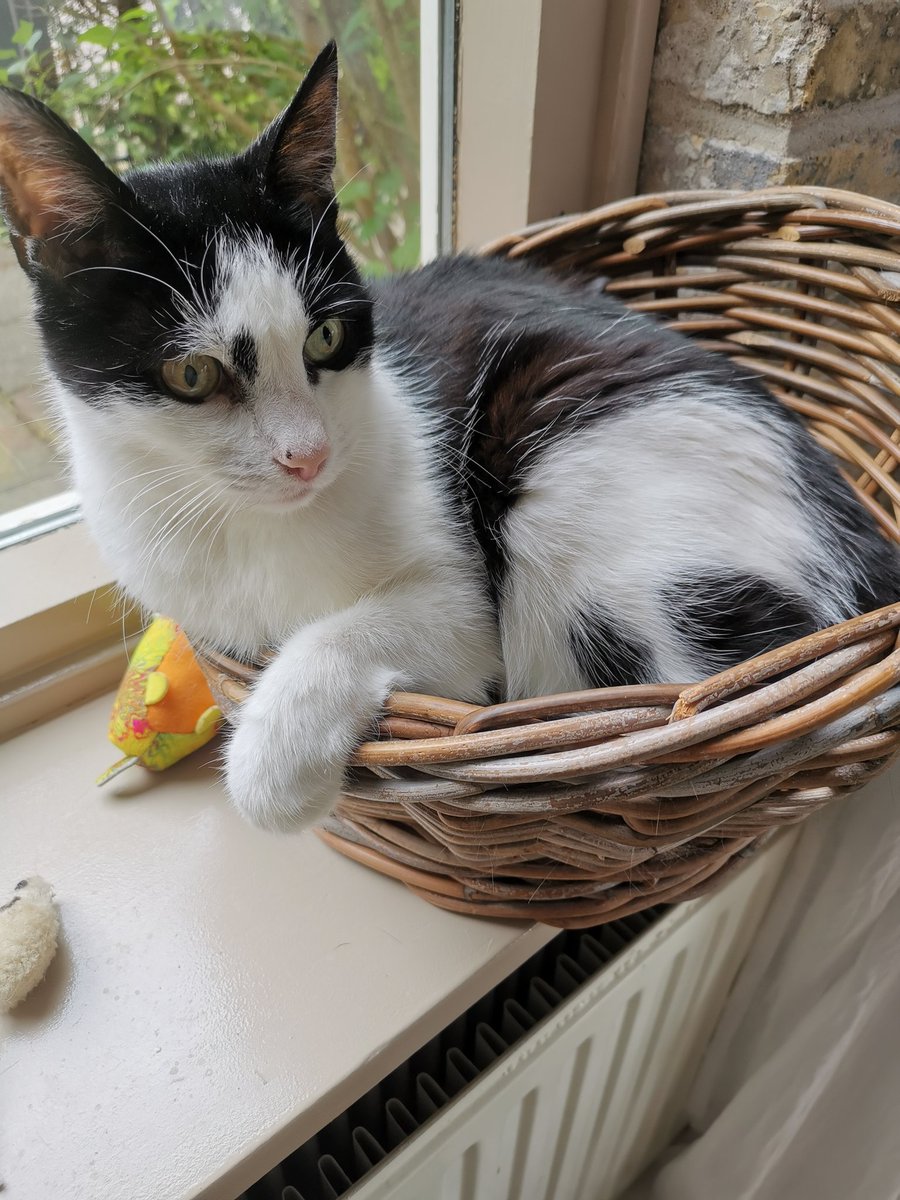 Pauline M Barten (@paulinembarten) on Twitter photo 