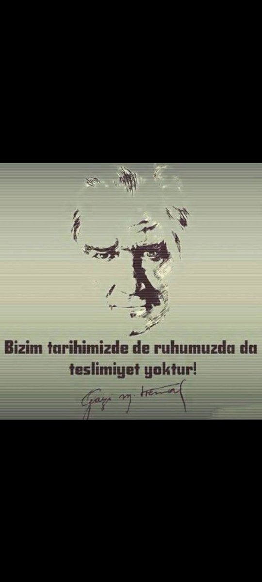 Timur  Boylu (@timur_boylu) on Twitter photo 