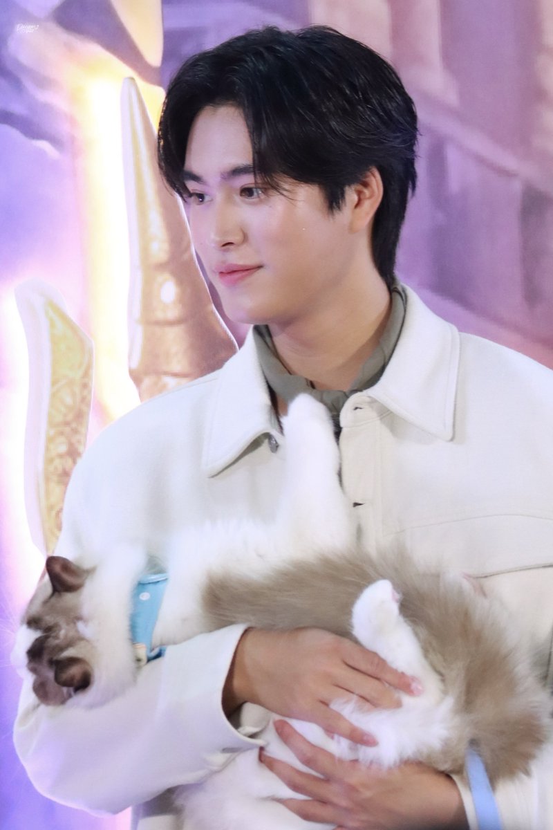 dreamofgmnf's tweet photo. อ้อนแด๊ดดี้มากกก🐈😭💖😽โคตรน่ารักกกก

NEKKO X GEMINI FOURTH PET EXPO
#NEKKOxGEMINIFOURTH
#NekkoxGFPetExpo 
#Gemini_NT #เจมีไนน์ @gemini_ti https://t.co/ebnk7Ga5yb